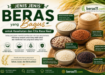 Jenis Jenis Beras yang Bagus untuk Kesehatan dan Cita Rasa Nasi