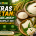 beras ketan ala beras11