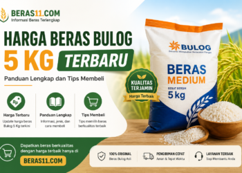 harga-beras-bulog-5kg-beras11-com