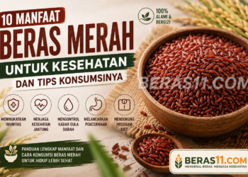manfaat-beras-merah