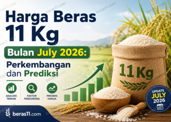 prediksi-harga-beas-11-kg